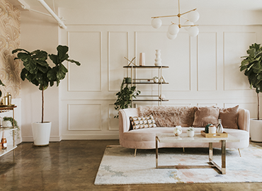 Living Room Decoration Ideas - CenturyPly